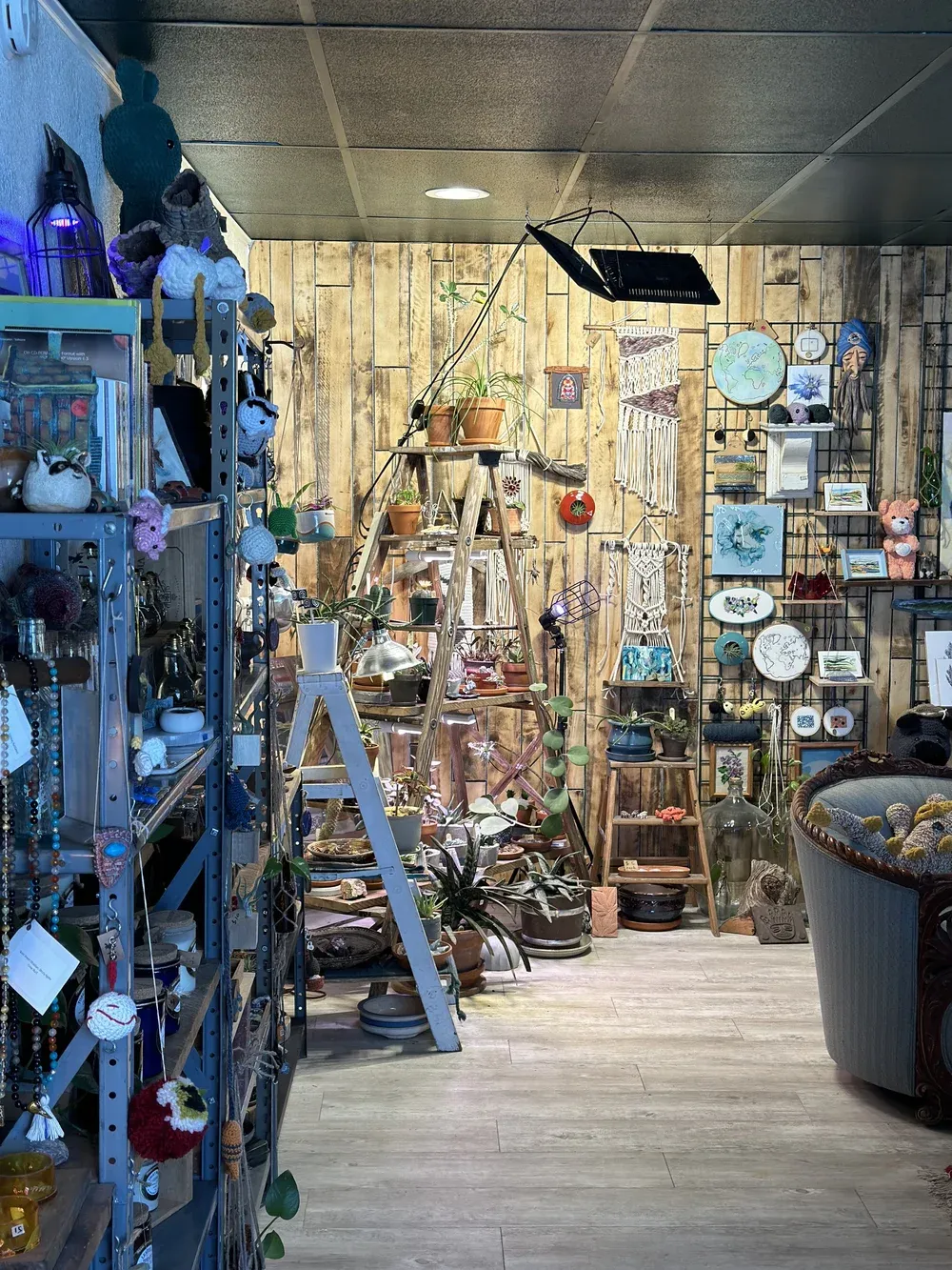 Inside All Its Own gift shop — shelves of houseplants, local art and handmade gifts